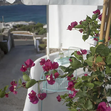 Mykonos Moussa Holiday home Agios Ioannis Diakoftis