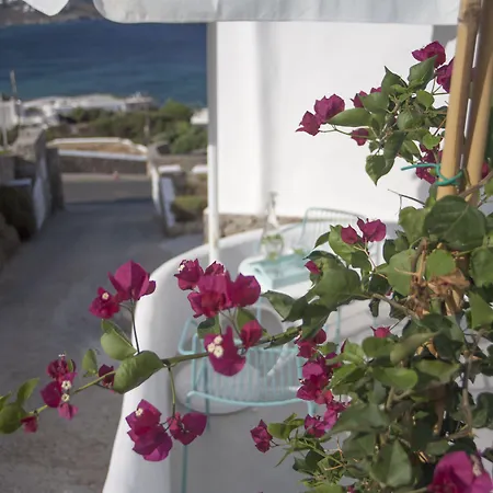 펜션 Mykonos Moussa